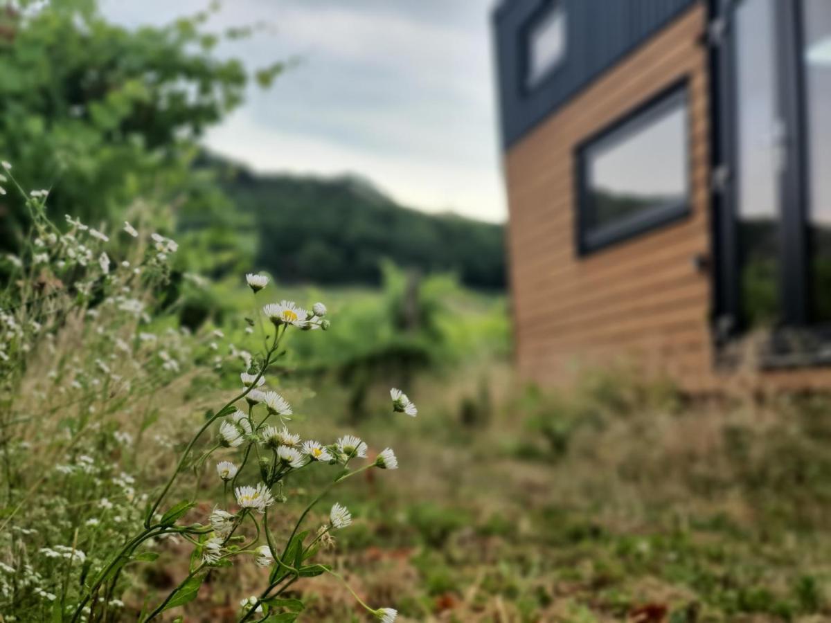 דירות Kaptalantoti Pop Tiny House Balaton מראה חיצוני תמונה